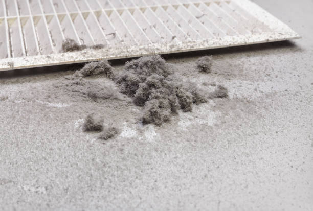 Best HVAC System Cleaning  in Horizon West, FL
