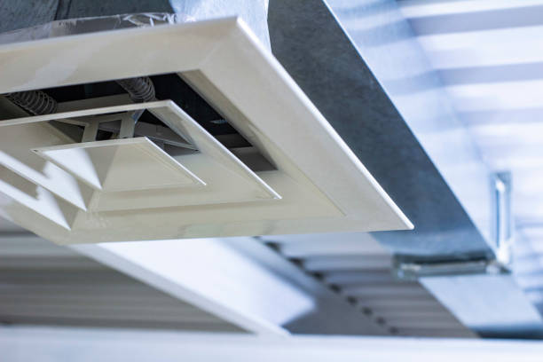 Best Air Duct Cleaning Company Near Me  in Horizon West, FL