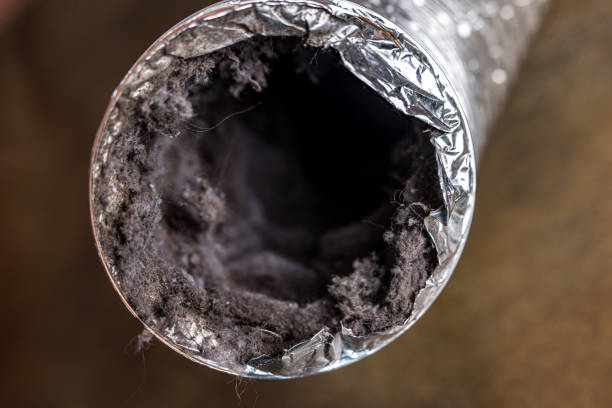 Best Air Vent Cleaning Services  in Horizon West, FL