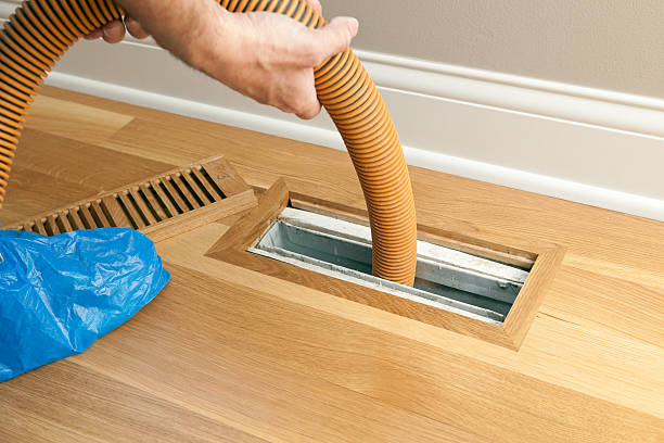 Best Dryer Vent Cleaning Services  in Horizon West, FL