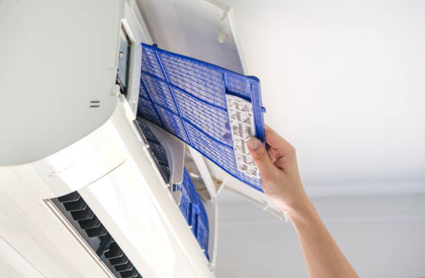 Best Emergency Air Duct Cleaning  in Horizon West, FL