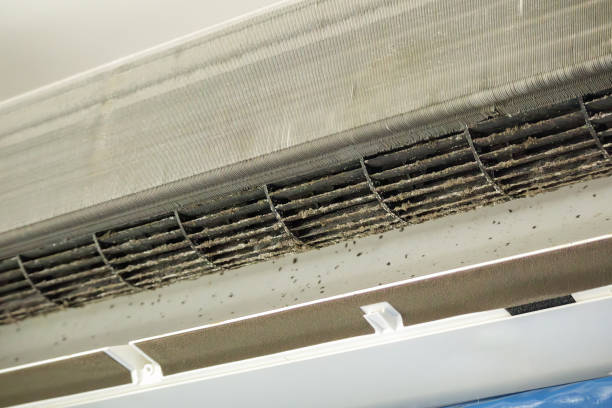 Best Affordable Air Duct Cleaning  in Horizon West, FL